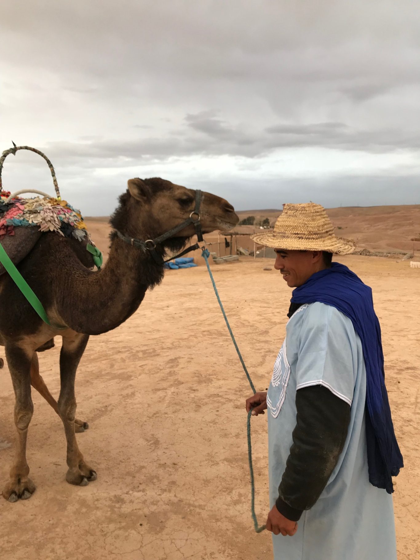 Zagora - camel ride A man in a hat leads a camel in a desert landscape under cloudy skies.